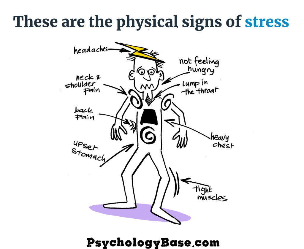 Physical Symptoms of Stress and Anxiety